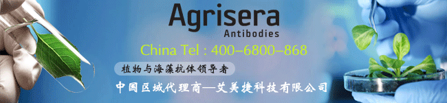 Agirsera中国的区域总代理，Kok体育(官网)下载
科技有限公司